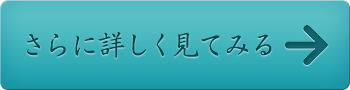 さらに詳しく見てみる